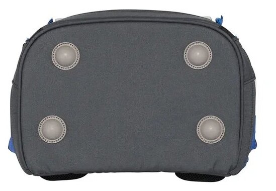 Ранец DerDieDas ErgoFlex XL "Пес на скейте" 850г, 5 предметов (ранец, пенал с наполнением, пенал без наполнения, спортивная сумка)