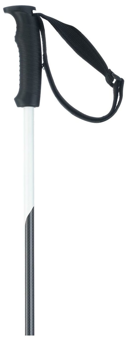 Горнолыжные Палки Elan Porsche Design Elan (См:125) Горнолыжные Палки Elan Porsche Design Elan (См:125)