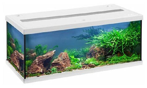 Аквариум AQUASTAR-54 LED 54л белый Аквариум AQUASTAR-54 LED 54л белый
