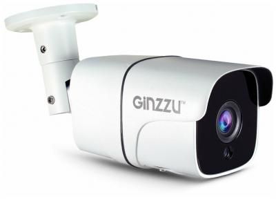 WiFi камера видеонаблюдения Ginzzu HWB-2034A 2Mp